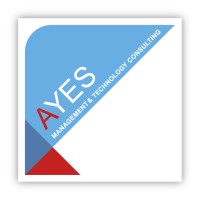AYES - Management & Technology Consulting logo