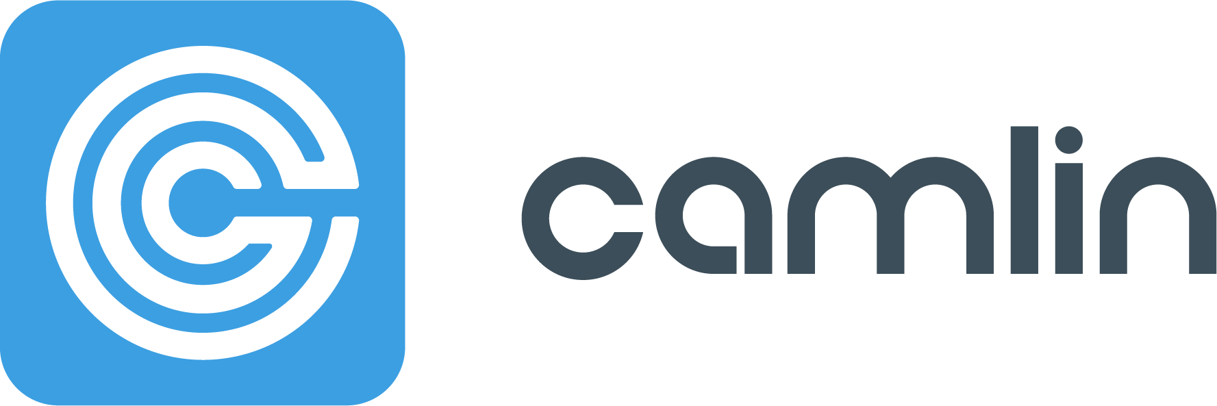 Camlin Group logo