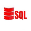 SQL Notes logo