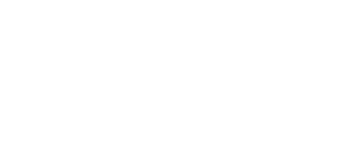 twoday Denmark logo