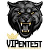 VIPentest logo