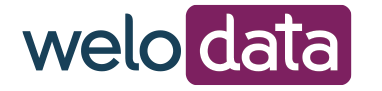 Welocalize logo